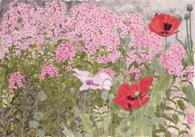 Poppies and Phlox by Linda Benton